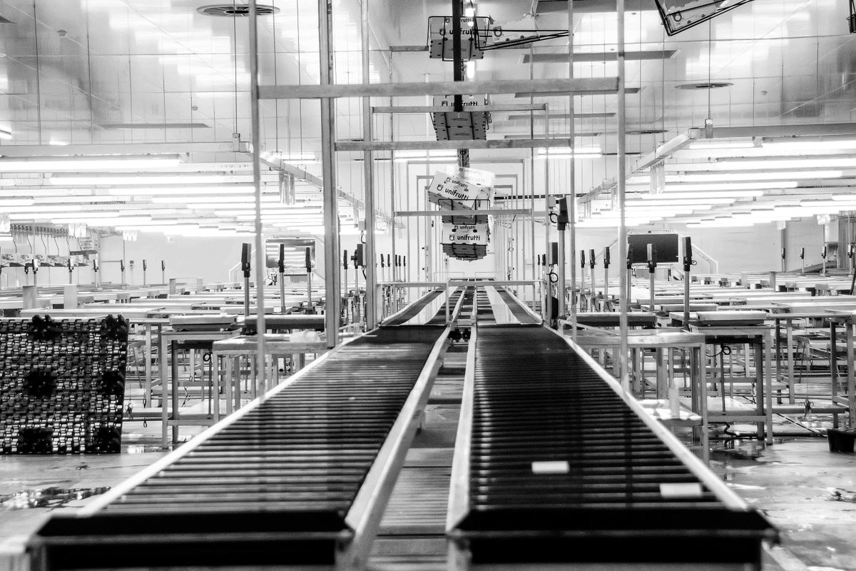 Conveyor equipment in a factory in Redelinghuys, South Africa